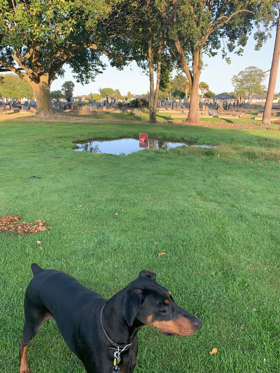 The photograph attached to this parks report