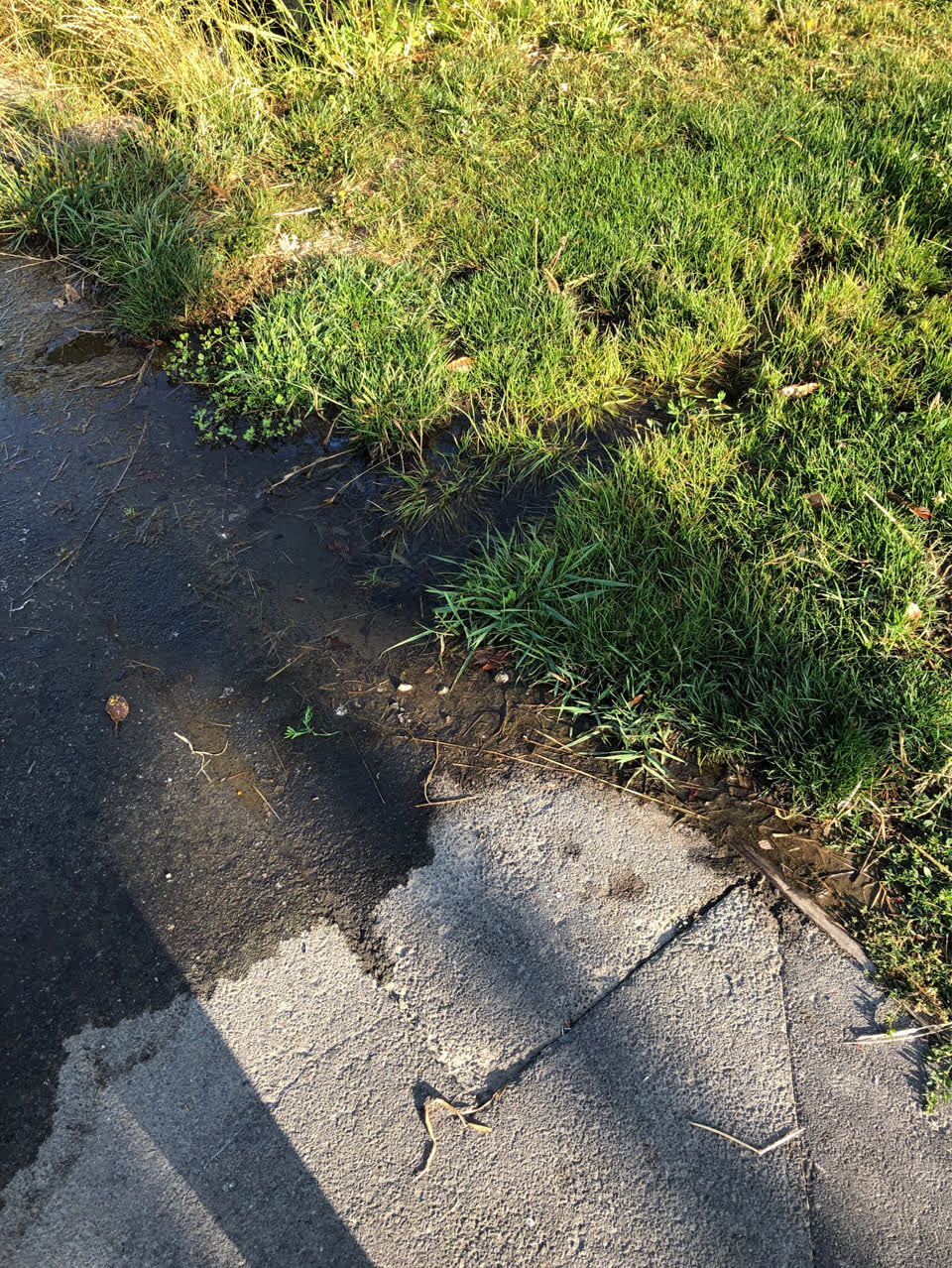 The photograph attached to this water supply report