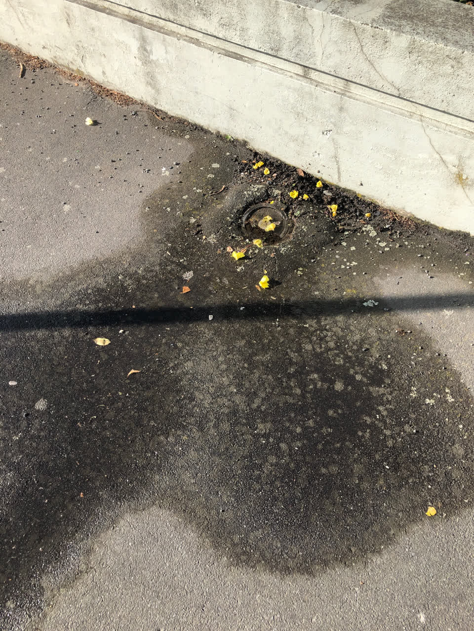 The photograph attached to this water supply report
