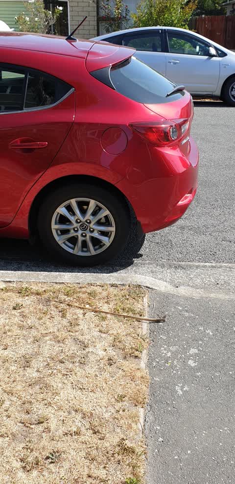 Roading/Streets, a report photo