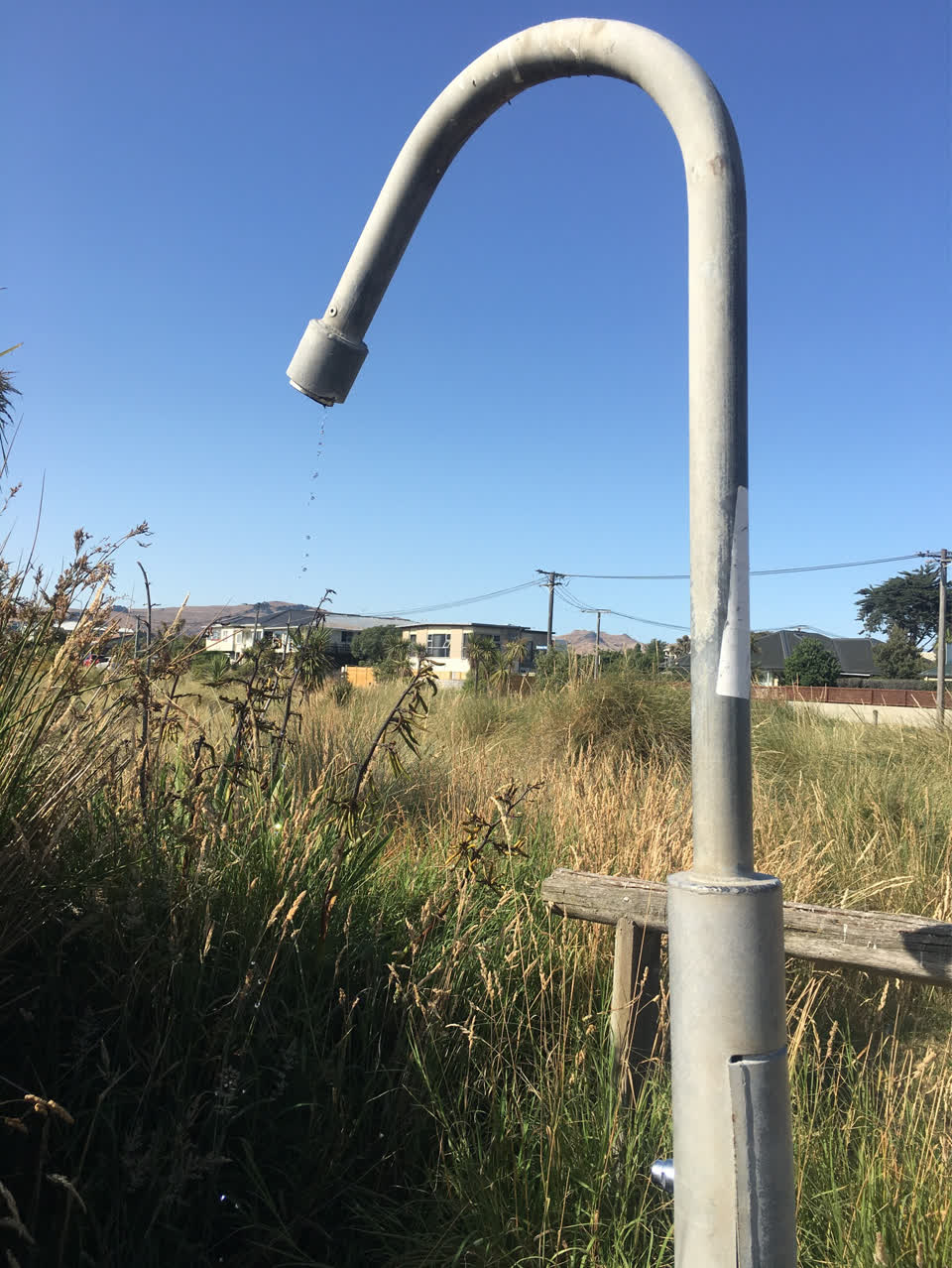 The photograph attached to this parks report