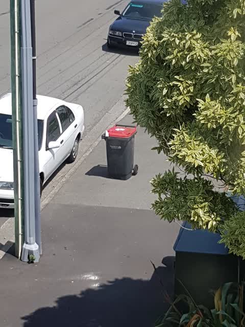 Rubbish/Recycling, a report photo