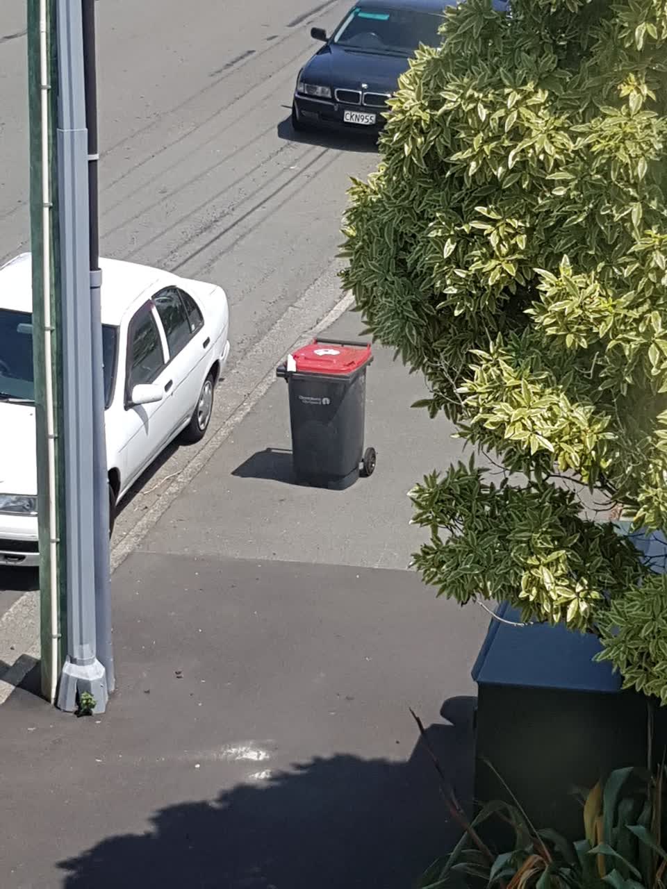 The photograph attached to this rubbish/recycling report