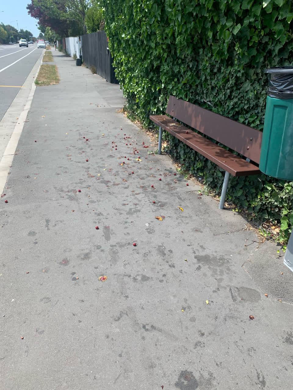 The photograph attached to this roading/streets report