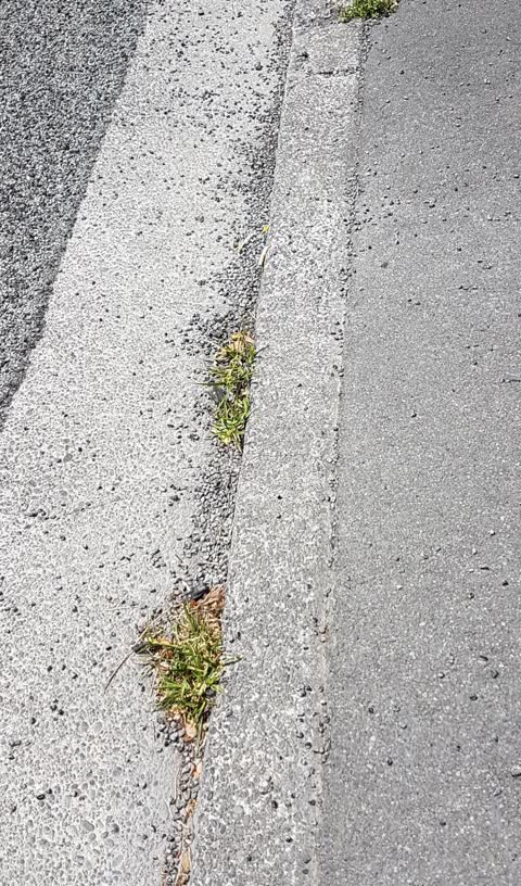 Roading/Streets, a report photo