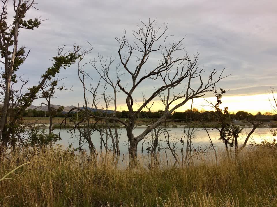 The photograph attached to this parks report