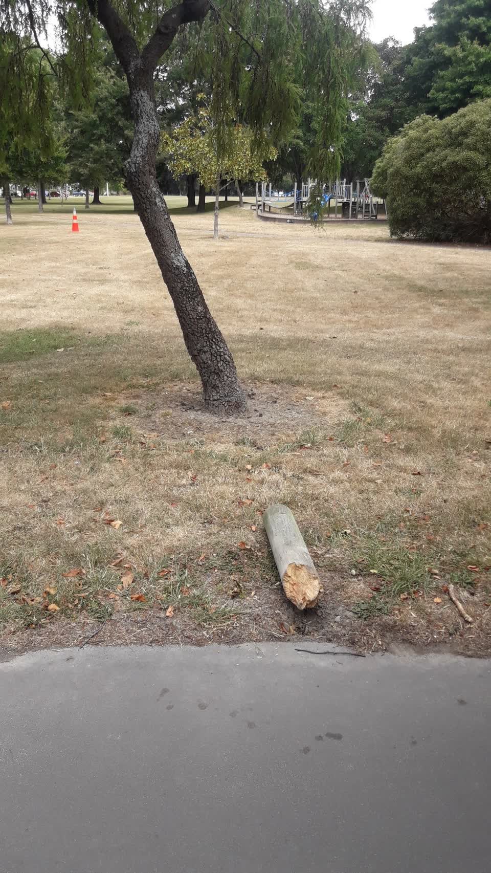 The photograph attached to this parks report