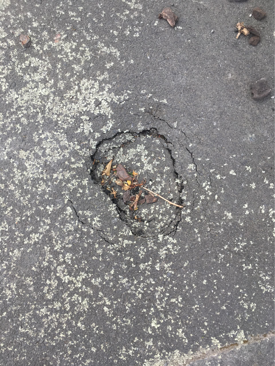 The photograph attached to this roading/streets report