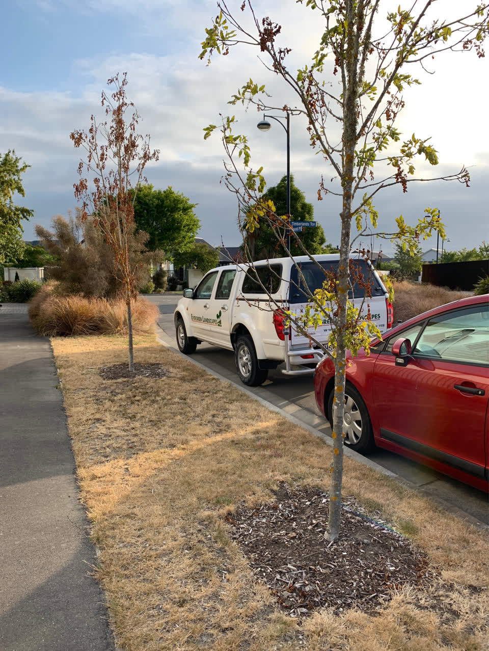 The photograph attached to this parks report