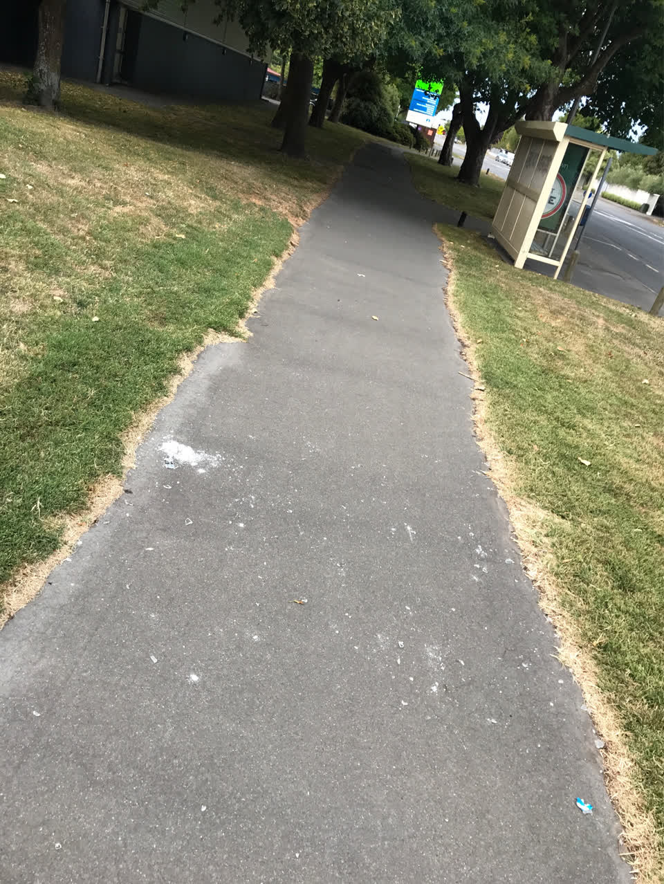 The photograph attached to this parks report