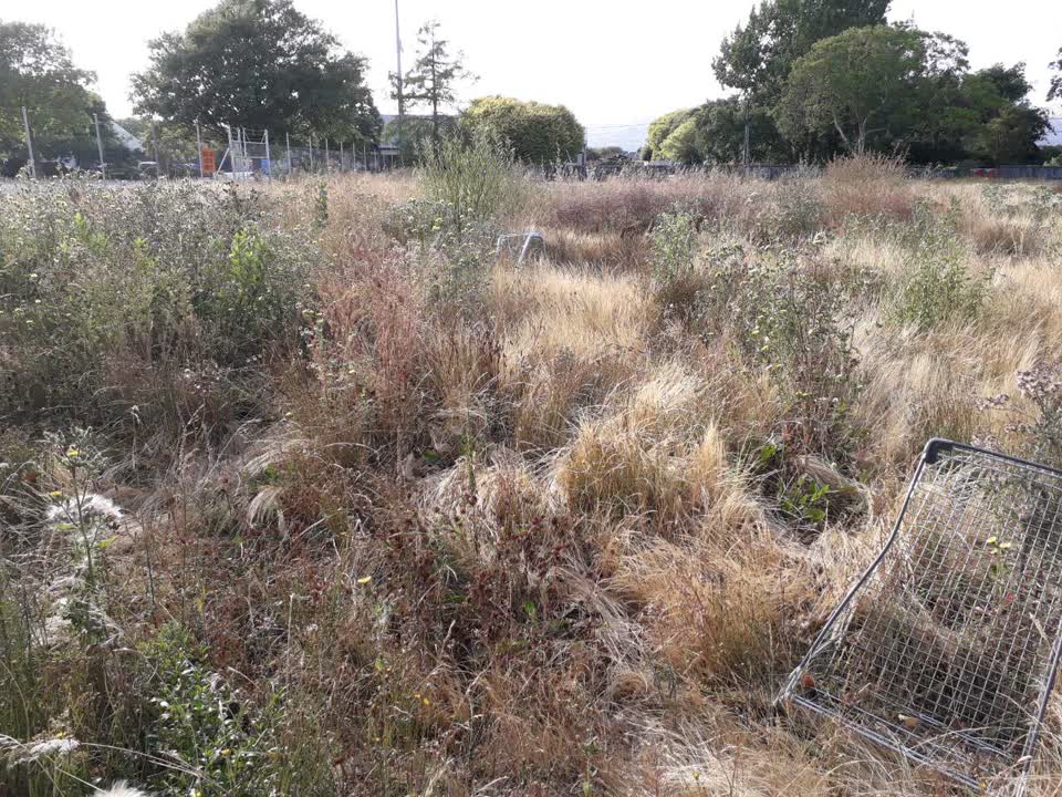 The photograph attached to this parks report