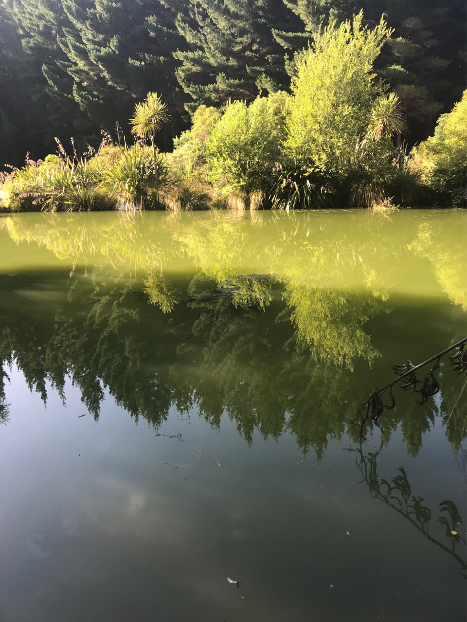 The photograph attached to this parks report