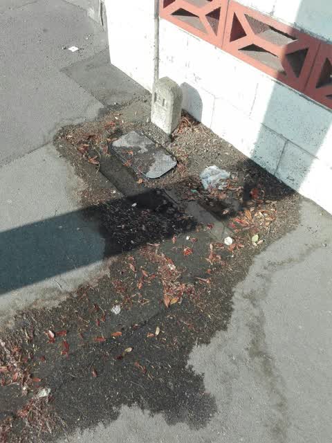 Wastewater/Stormwater, a report photo