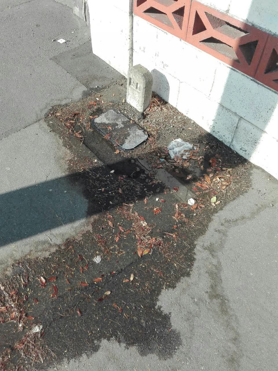The photograph attached to this wastewater/stormwater report