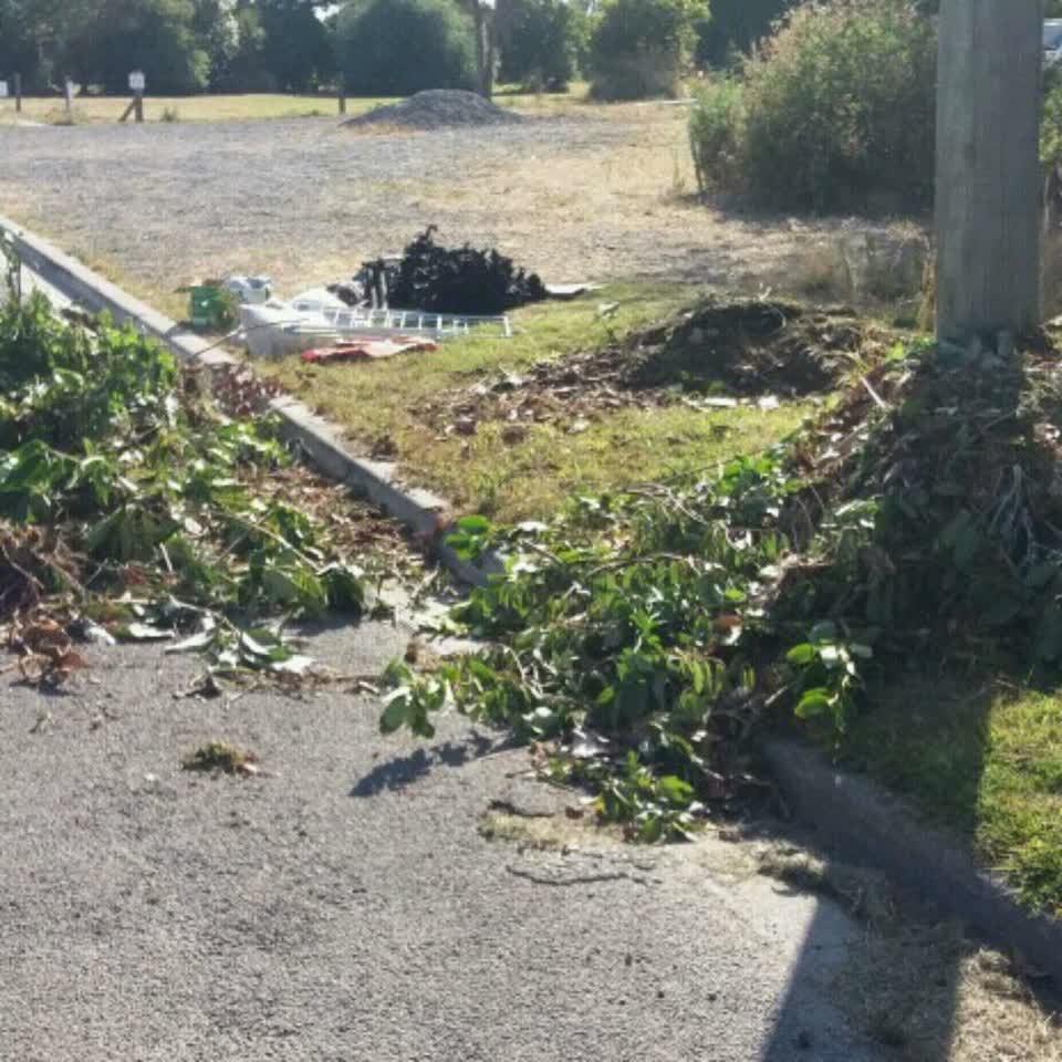 The photograph attached to this rubbish/recycling report