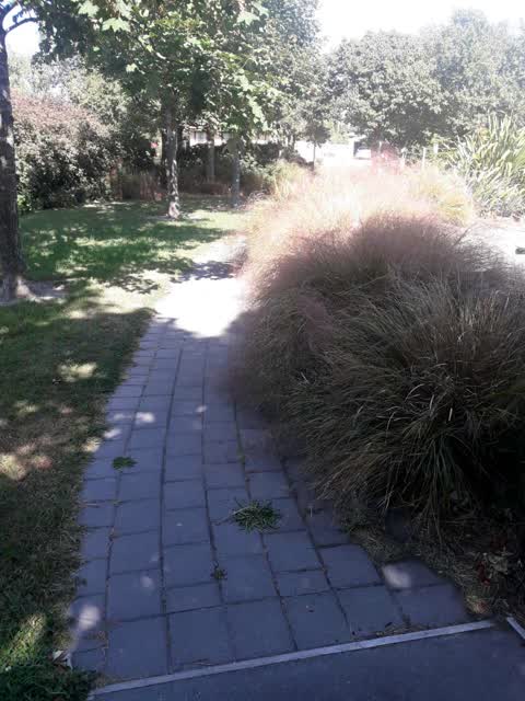 Parks, a report photo