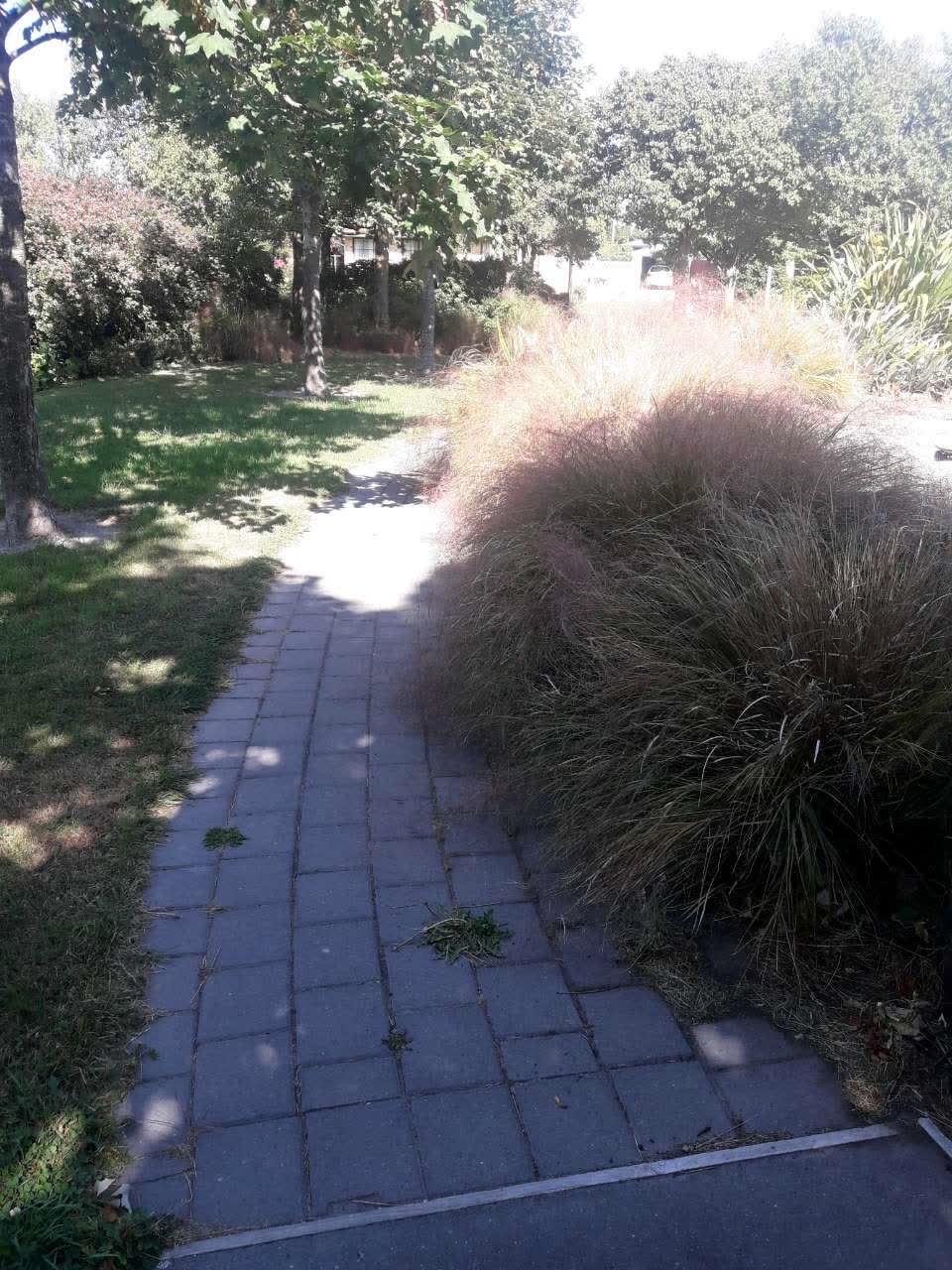 The photograph attached to this parks report