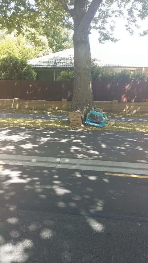 Rubbish/Recycling, a report photo
