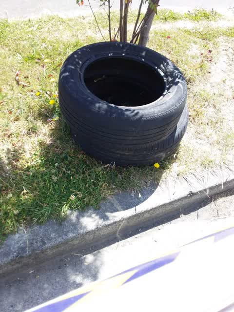 Rubbish/Recycling, a report photo