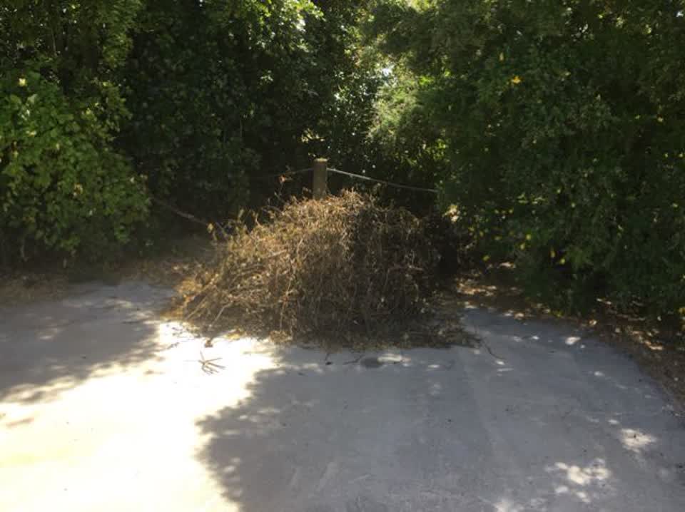 The photograph attached to this rubbish/recycling report