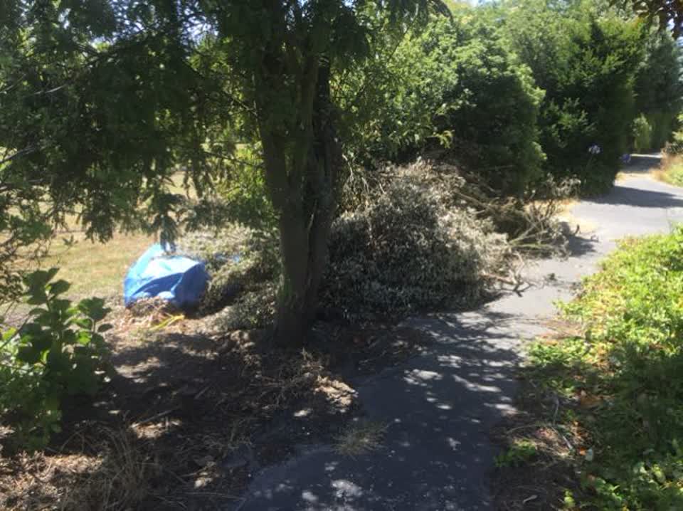The photograph attached to this rubbish/recycling report