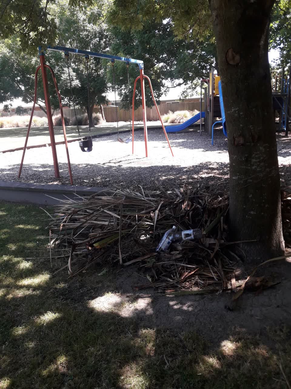 The photograph attached to this parks report