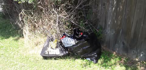 Rubbish/Recycling, a report photo