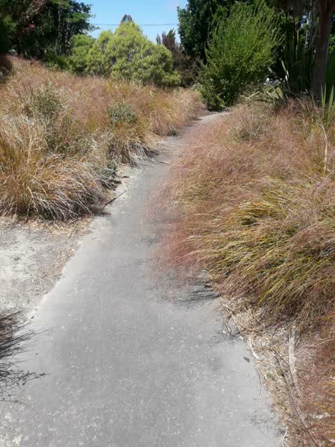 Parks — a report photo