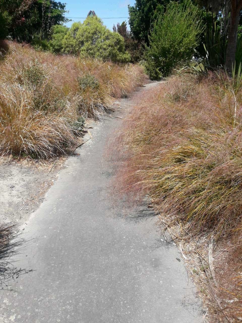 The photograph attached to this parks report