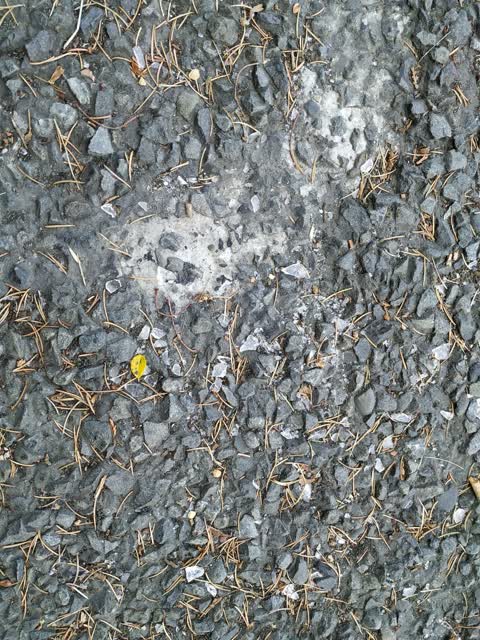Roading/Streets, a report photo