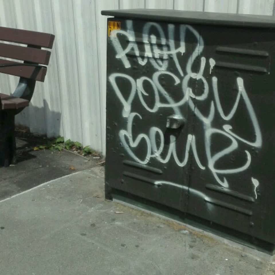 The photograph attached to this graffiti report