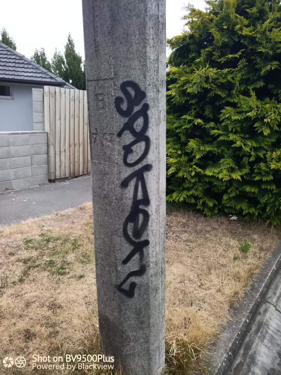 The photograph attached to this graffiti report
