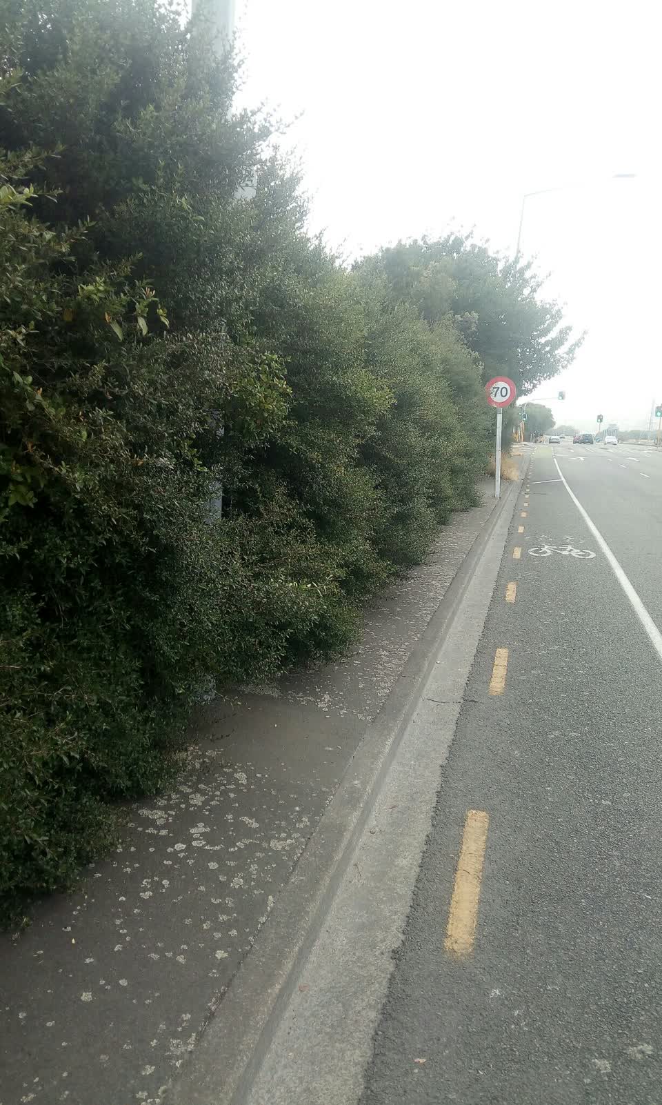 The photograph attached to this roading/streets report