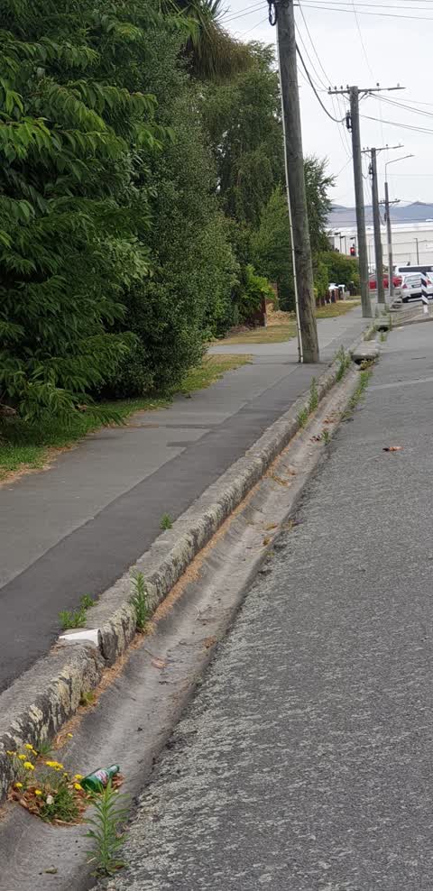 Roading/Streets, a report photo