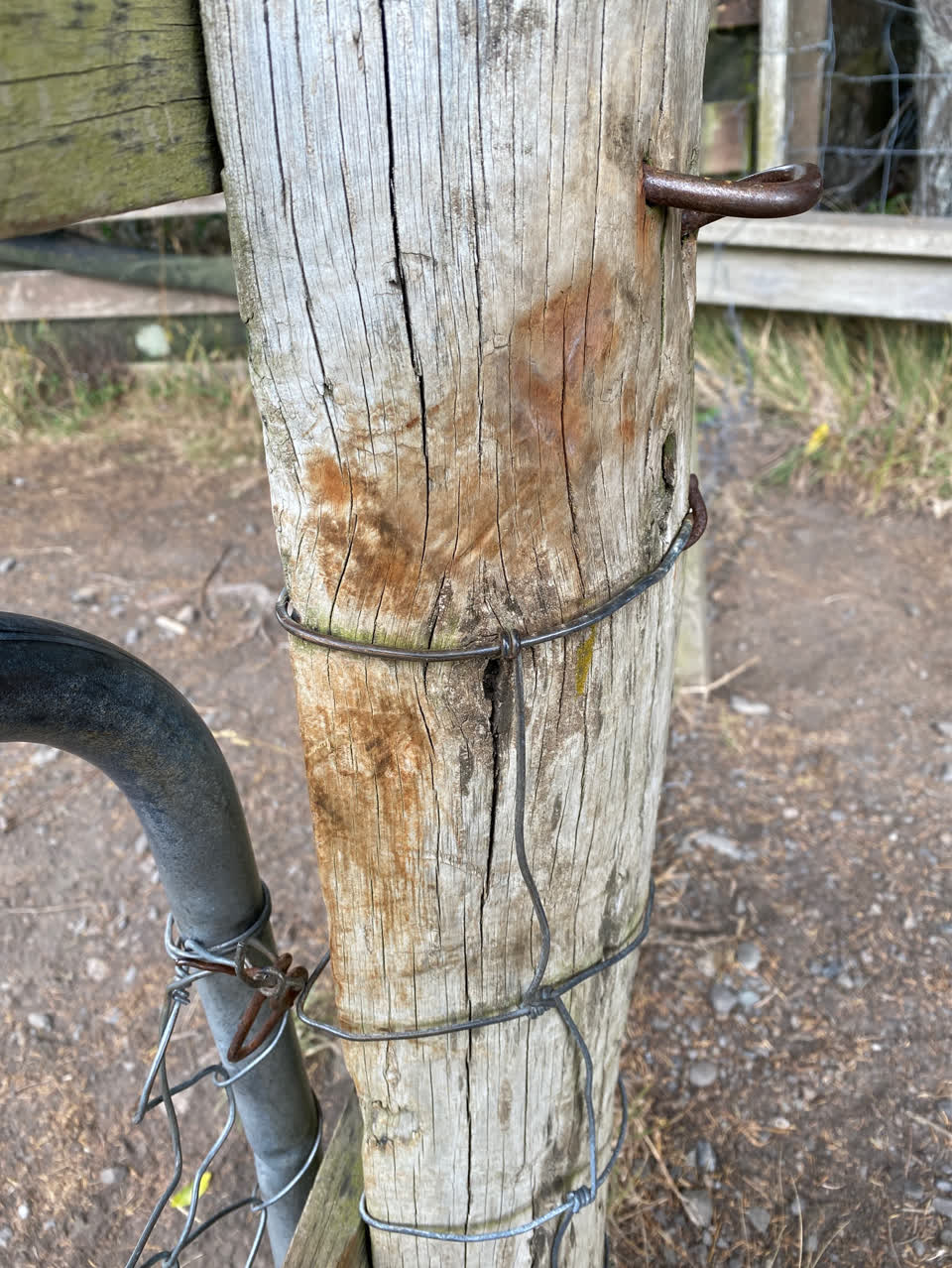 The photograph attached to this parks report