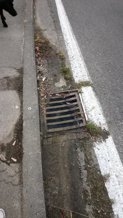 Wastewater/Stormwater, a report photo
