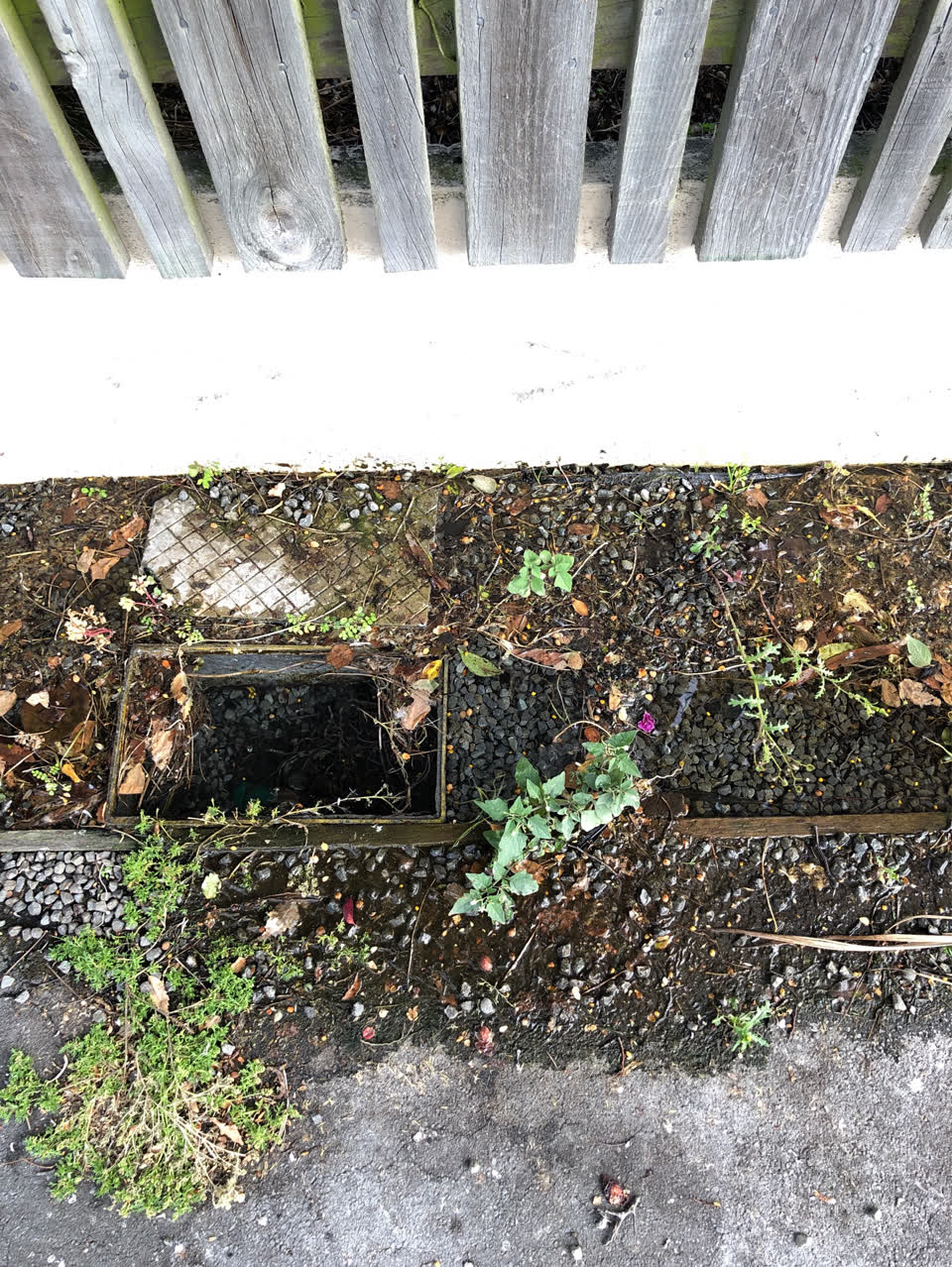The photograph attached to this water supply report