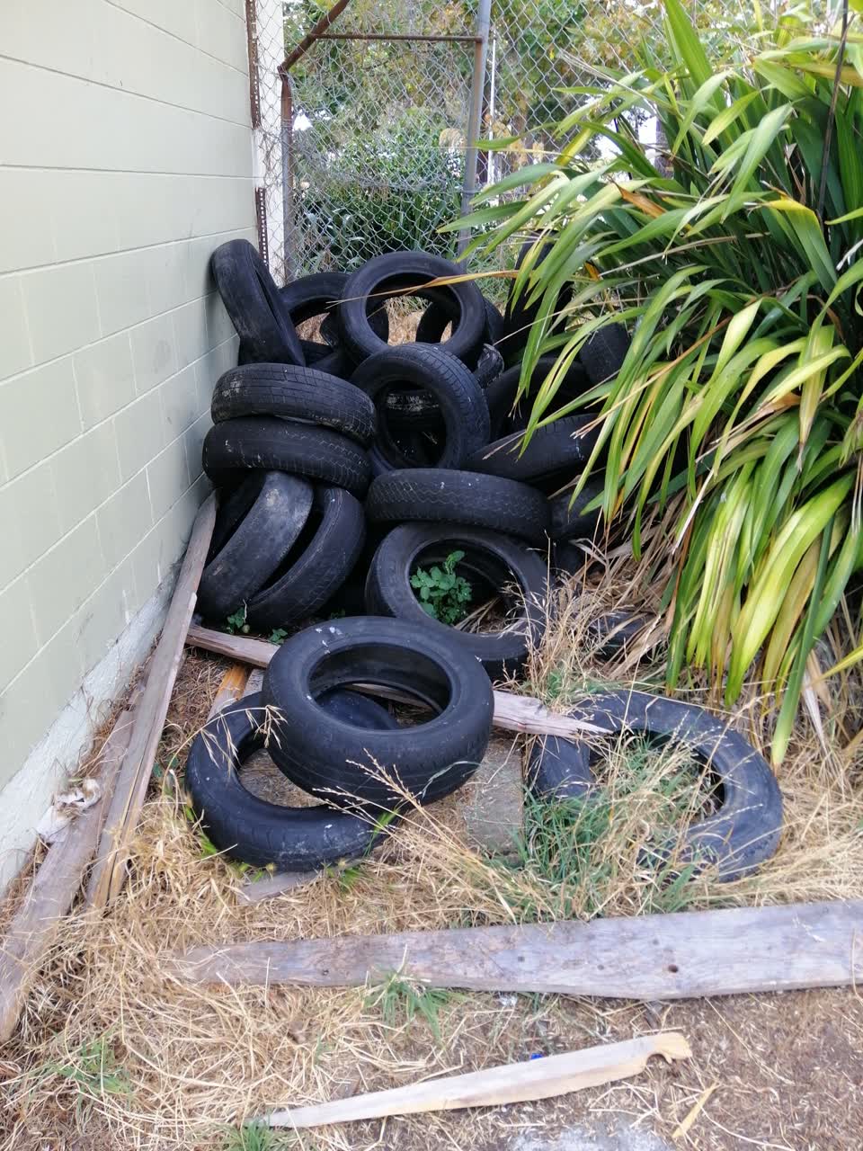 The photograph attached to this rubbish/recycling report