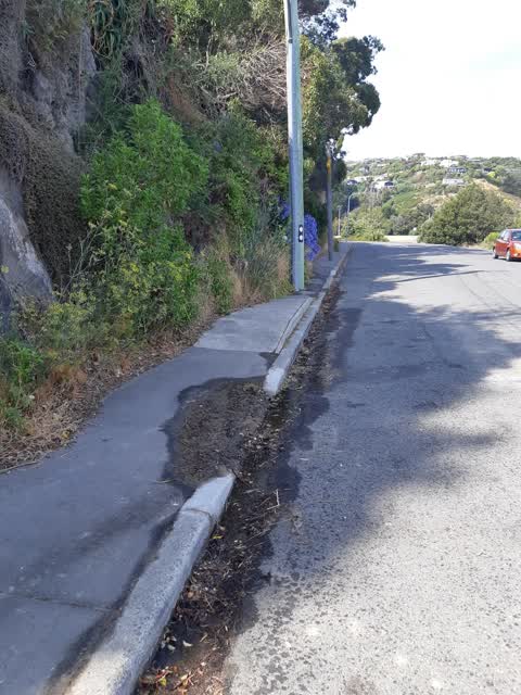 Roading/Streets, a report photo