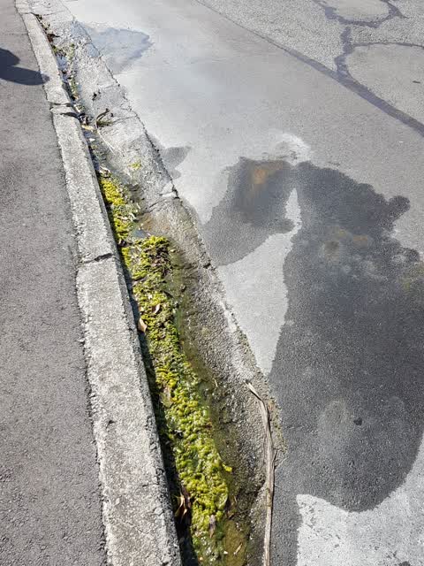 Water Supply, a report photo