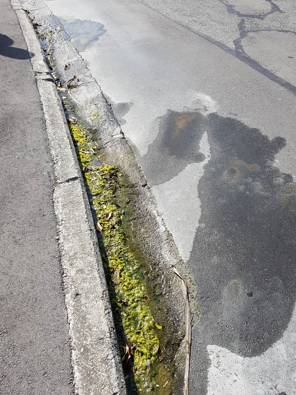 The photograph attached to this water supply report