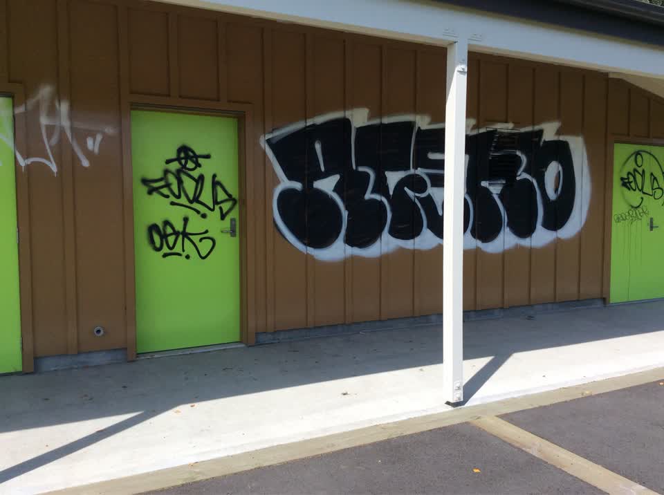 The photograph attached to this graffiti report