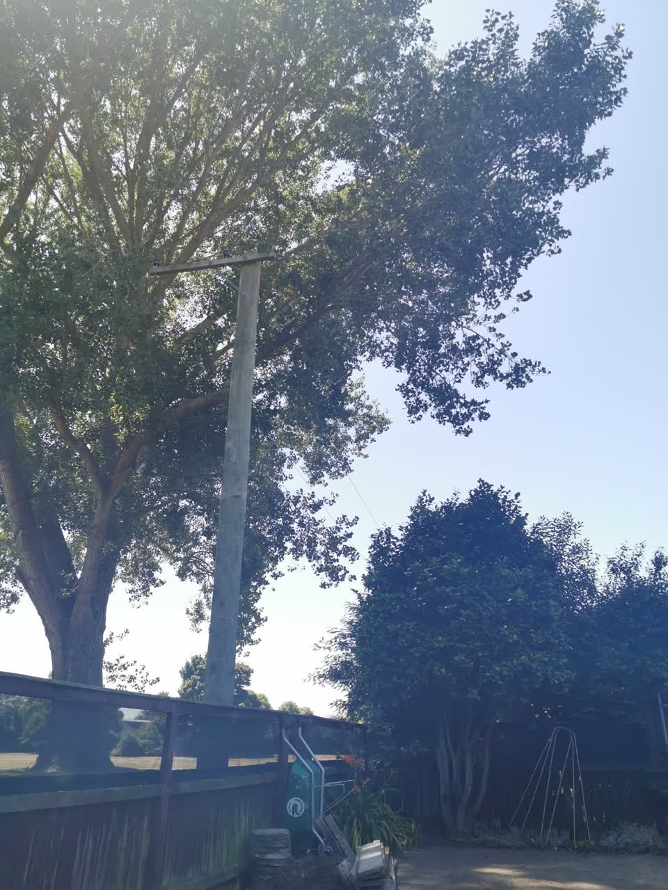 The photograph attached to this parks report