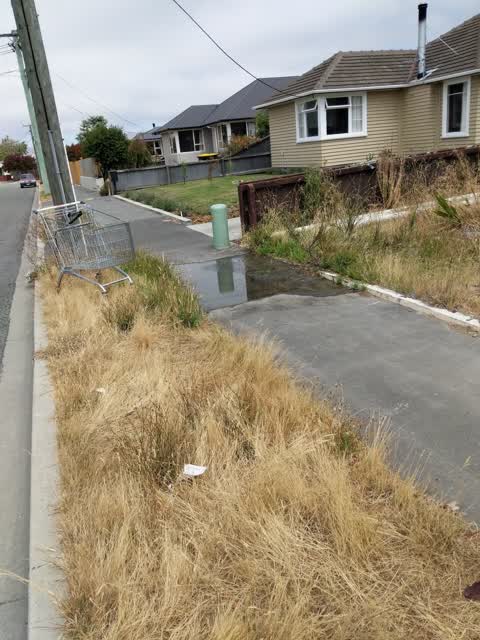Water Supply, a report photo