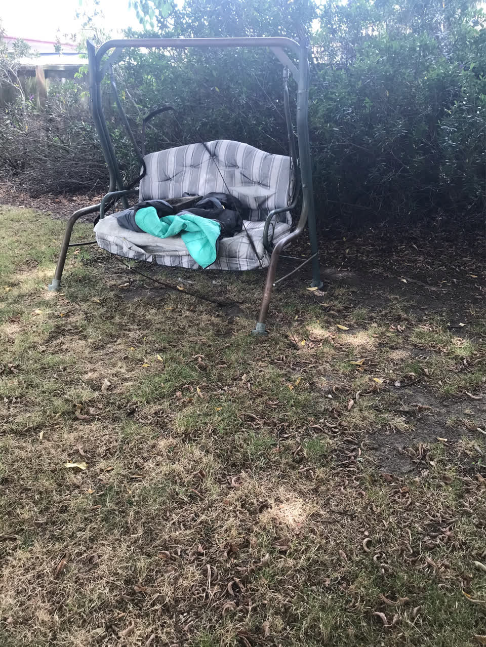 The photograph attached to this parks report