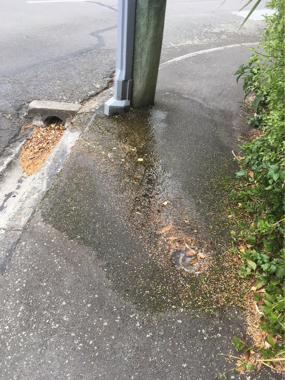 The photograph attached to this water supply report