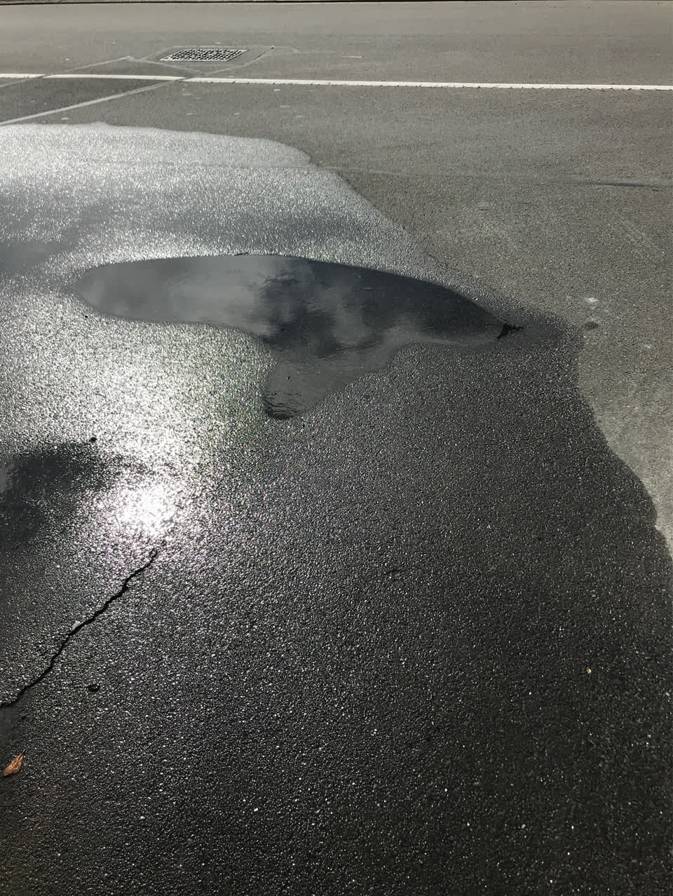 The photograph attached to this water supply report