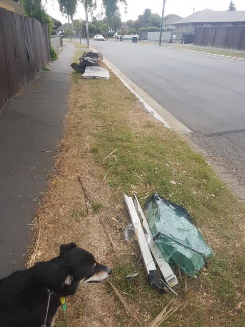 Rubbish/Recycling — a report photo