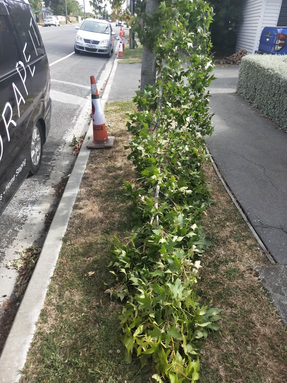The photograph attached to this roading/streets report