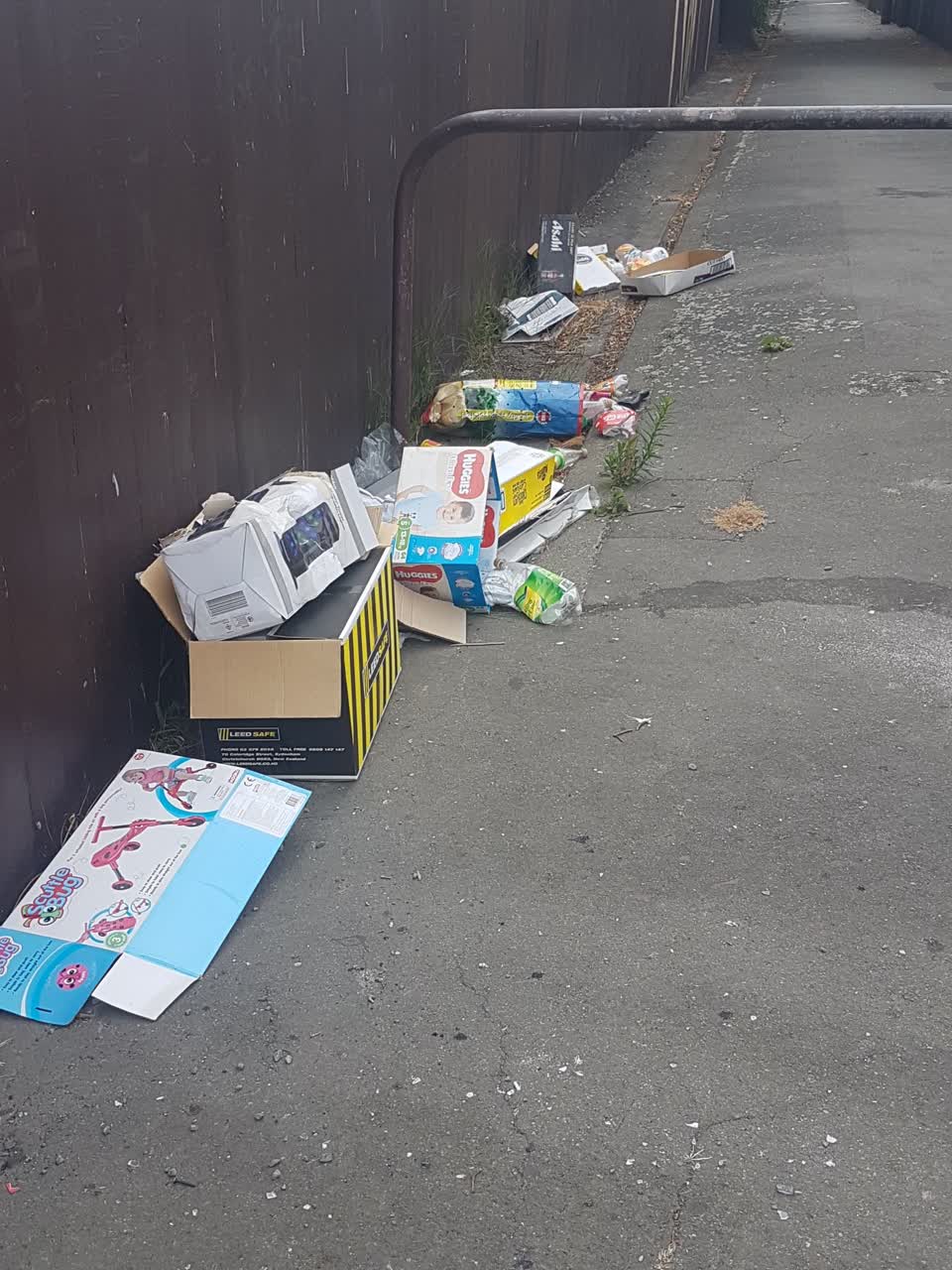 The photograph attached to this rubbish/recycling report